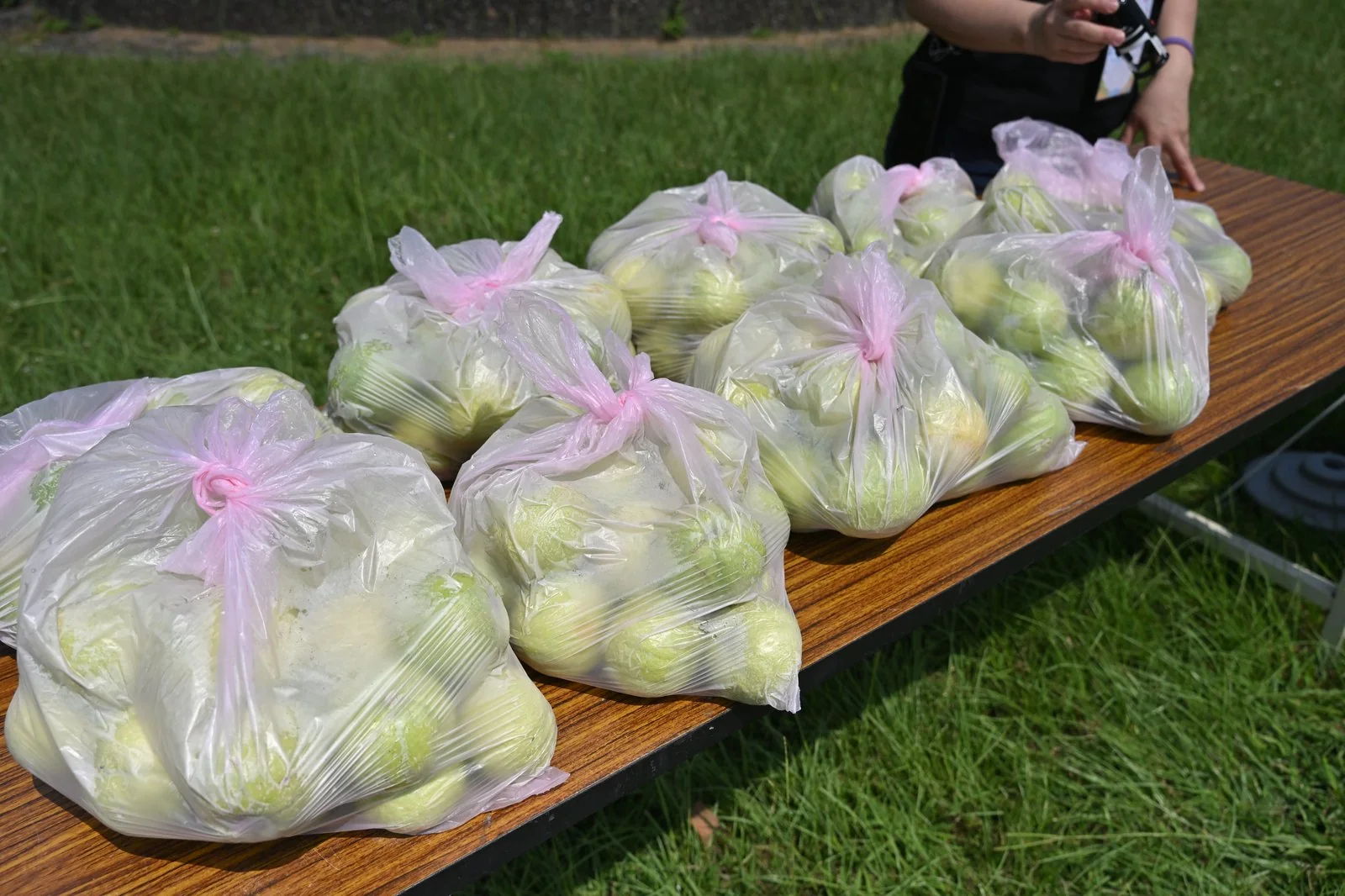 仁濟院｜家庭日　案例現場紀錄