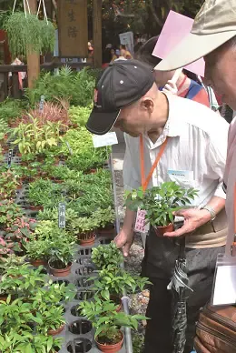 花樣爺奶 樂活長青 台北仁濟院重陽餐會　案例現場紀錄